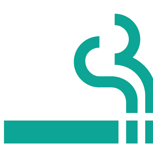 ic-smoking-filled-primary icon